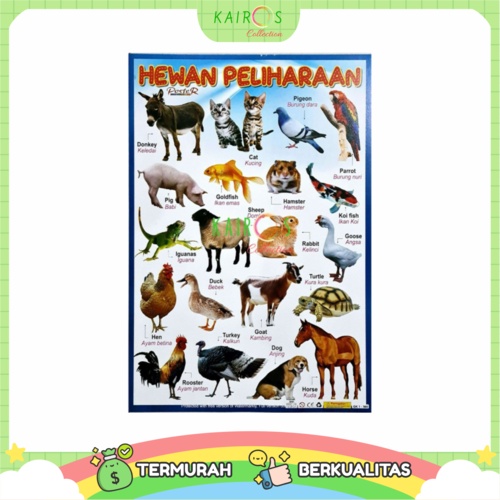 Pet Learning Poster | Shopee Malaysia