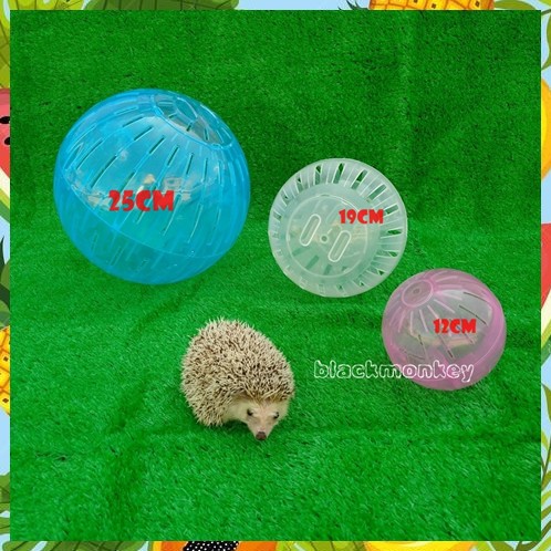 hamster ball shopee