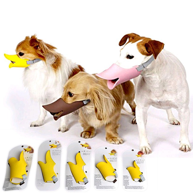 toy dog muzzle