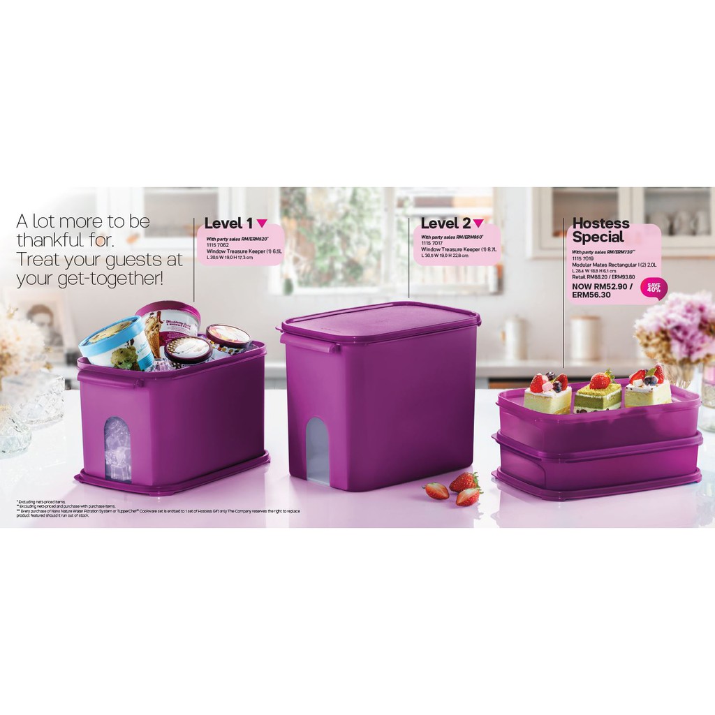 Window Treasure Keeper / Modular Mates Rectangular 2.0L / 6.5L / 8.7L Tupperware