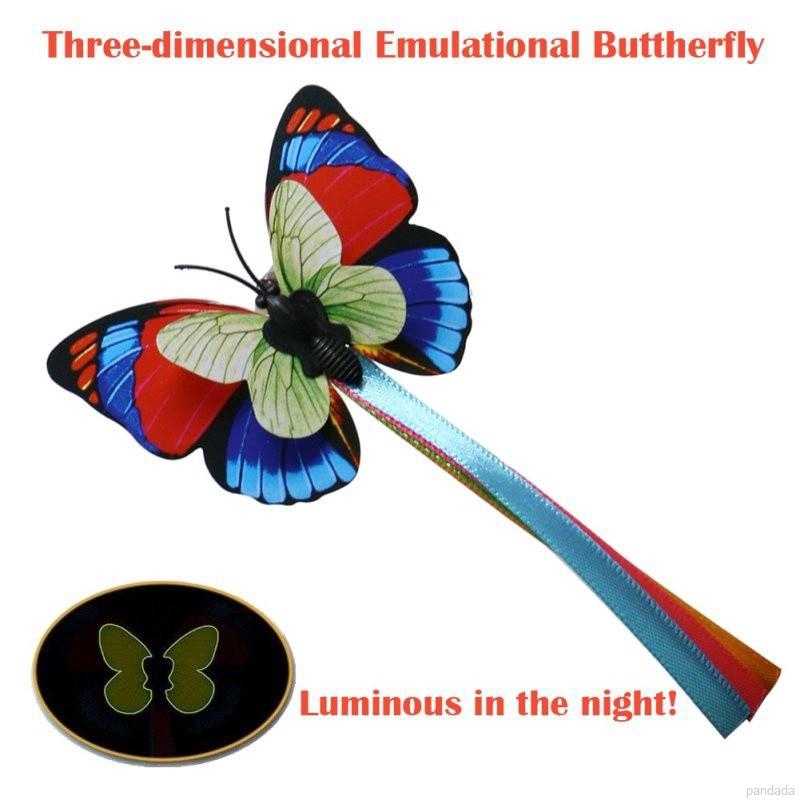 interactive butterfly cat toy