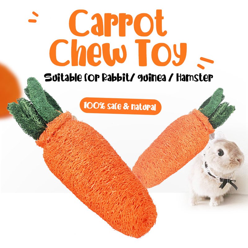 Healthy Chew Toys For Guinea Pigs Wow Blog
