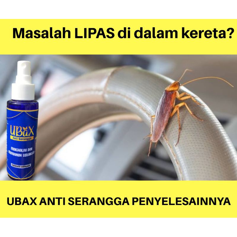 cara hilangkan lipas dalam kereta