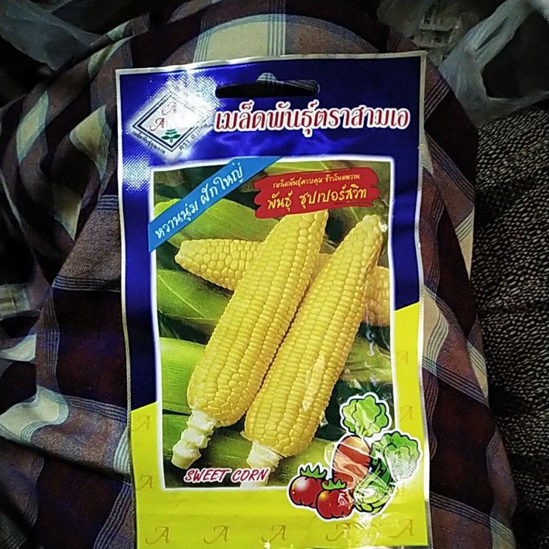 Benih Seeds Jagung Manis Sweet Corn Thailand Shopee Malaysia