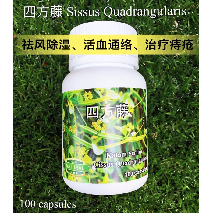 Buy Hhc四方藤katam Seribu Ubat Buasir 治痔疮 祛风除湿 活血通络 铁打伤筋 Seetracker Malaysia