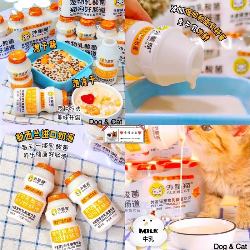 Buy Alien Cat外星猫Dog/Cat/Pet Goat Milk/Lactobacillus/blueberry狗 