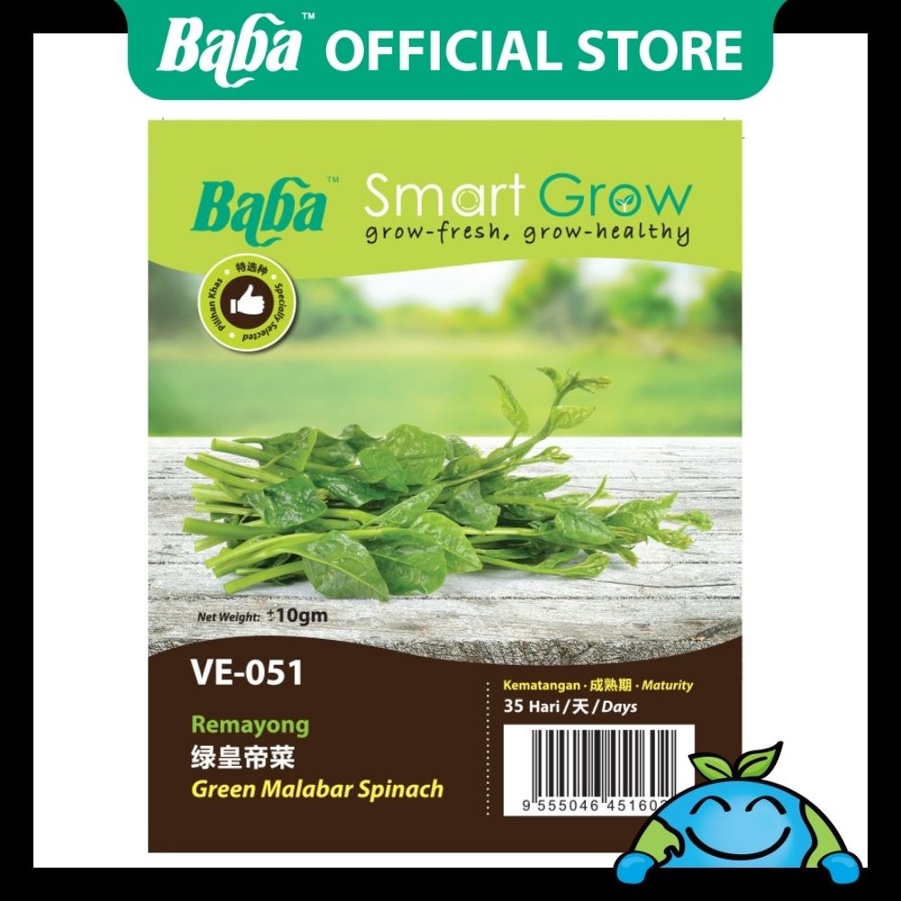 Baba Official | [NON-GMO] Baba VE-051 Green Malabar Spinach Seed 10g ...