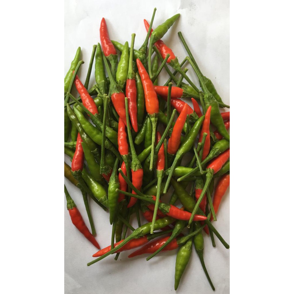 Organic Cili Api Bara Cili Api Kampung Shopee Malaysia