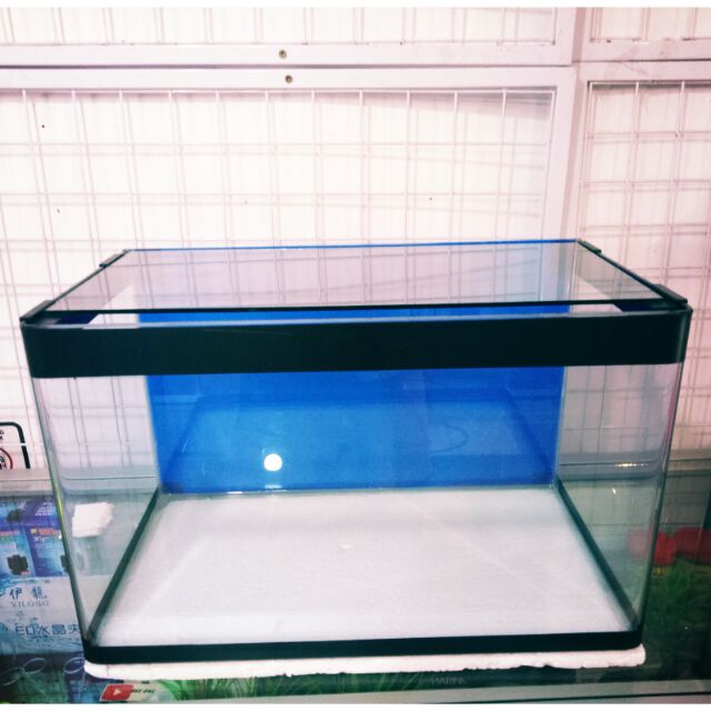 Aquarium Kaca Tebal Besar Murah Shopee Malaysia