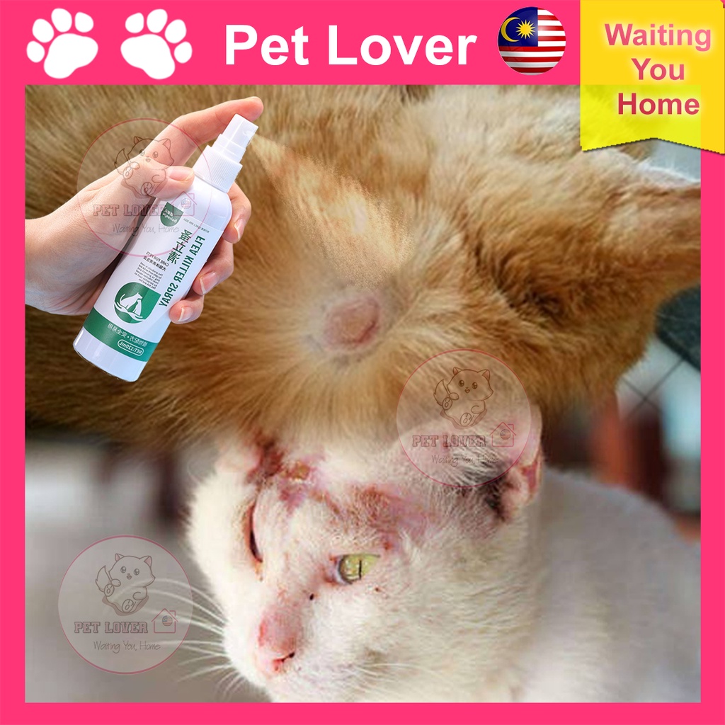 Ubat Kutu Anak Kucing Prices And Promotions Jun 2022 Shopee Malaysia