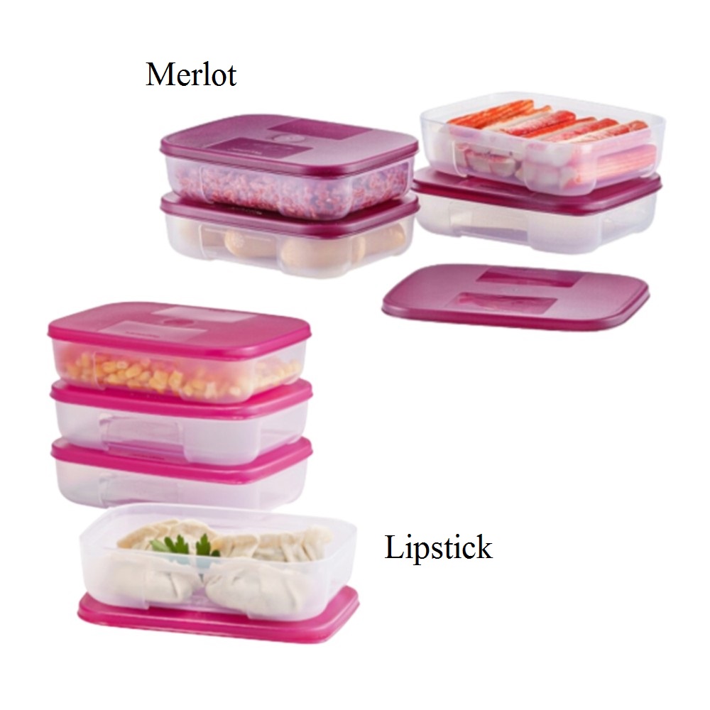 Tupperware FreezerMate Small I (4) 250ml