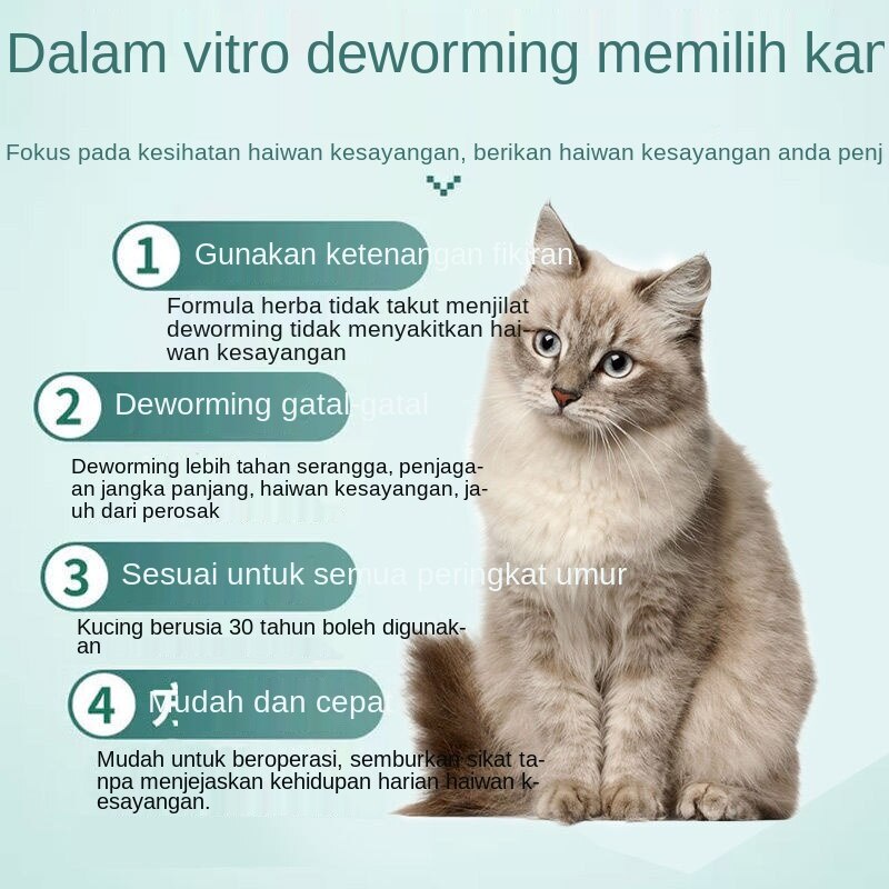 2021 Racun Serangga Kucing, Penghalau Serangga Kucing, Racun 