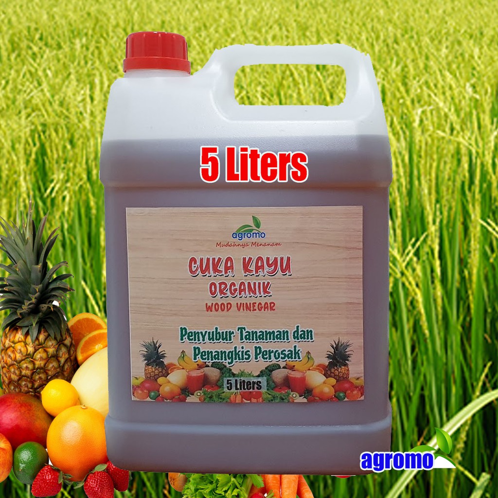 Buy Cuka Kayu Asli Wood Vinegar 100 Asli 5 Liters Seetracker Malaysia