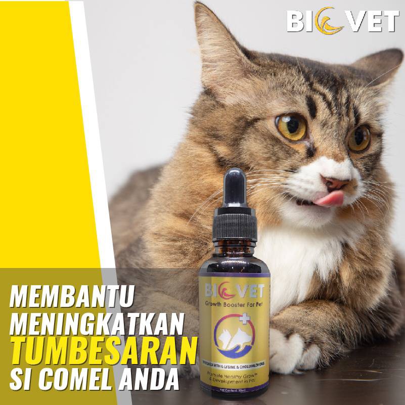 Buy (4 GIFT) BIOVET Advance Health Booster Vitamin Serum untuk 