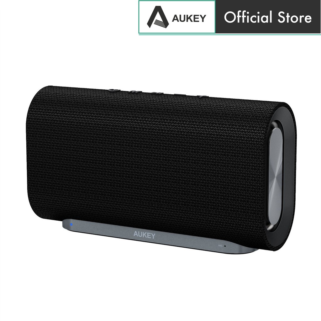 bluetooth speaker with bass radiator
