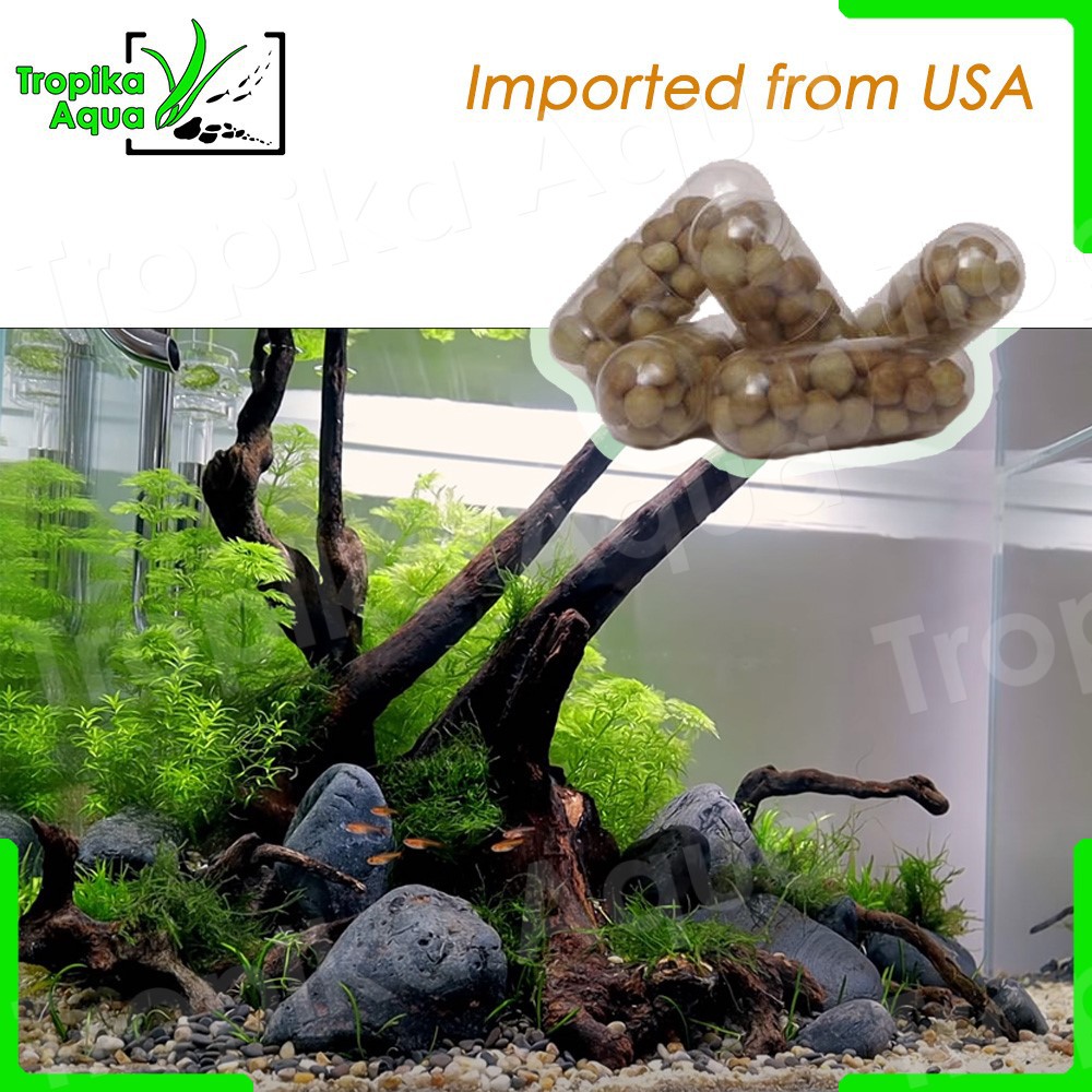 Root Tabs Fertilizer Aquarium Plants Imported from USA Lazada
