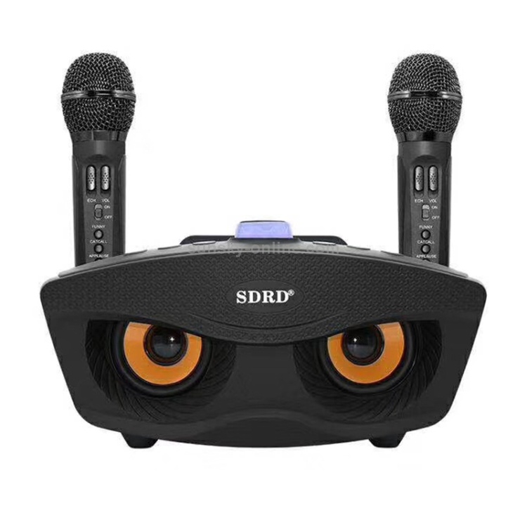 8” Speaker Mic Burung Hantu Viral SDRD 306 PLUS Wireless Bluetooth Dual