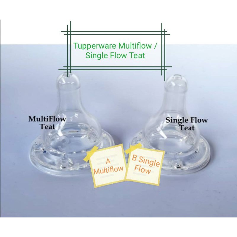 ✳️Tupperware MultiFlow /Single Flow Teat✳️