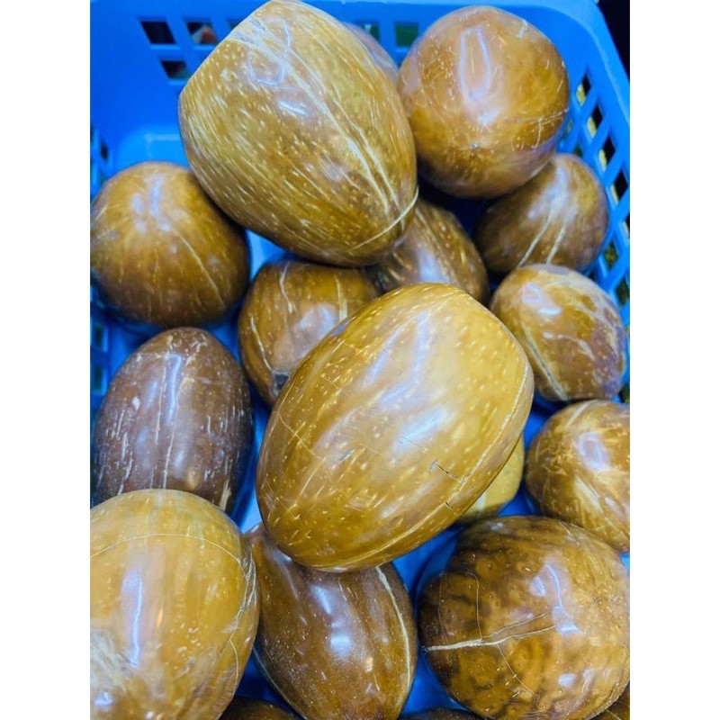BUAH KAYU KOKAH ASLI(free shipping ) | Shopee Malaysia