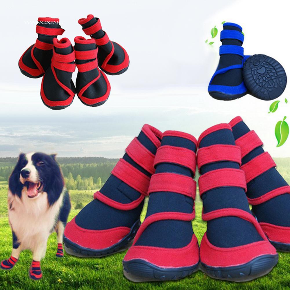 dog shoes shopee