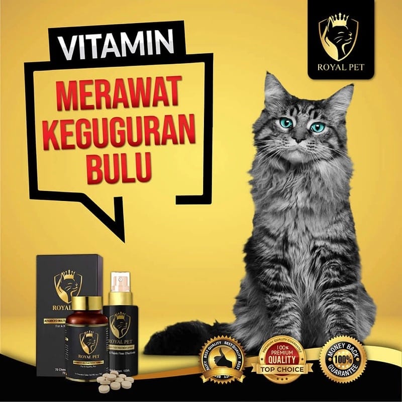 Vitamin Kucing Gemuk Sihat Royal Pet Original cat supplement | Shopee