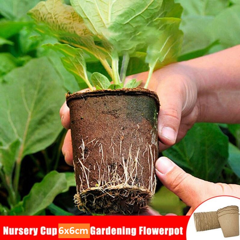 Paper Pulp Pot Plant Nursery Cup 50-Pcs Organic Vegetable Fruit Seedling Raising Cultivation Starter Eco-Friendly