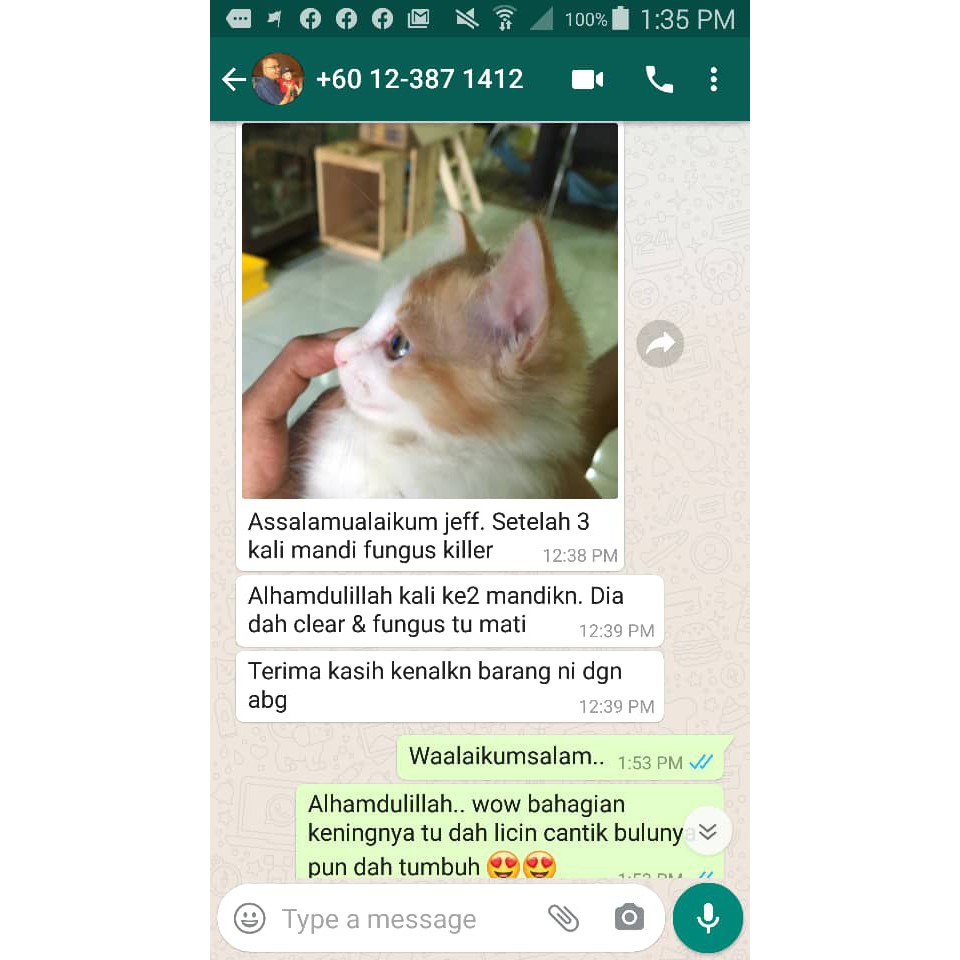 Excite Cats Fungus Killer VIP - ubat spray fungus kucing / ubat 