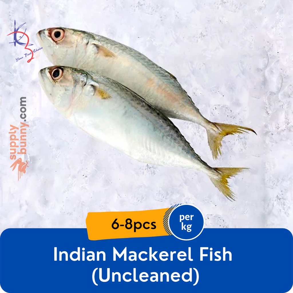 Indian Mackerel Fish Uncleaned 6-8pcs (sold per kg) 甘榜鱼 Ikan Kembung - Kaizer Frozen Seafood