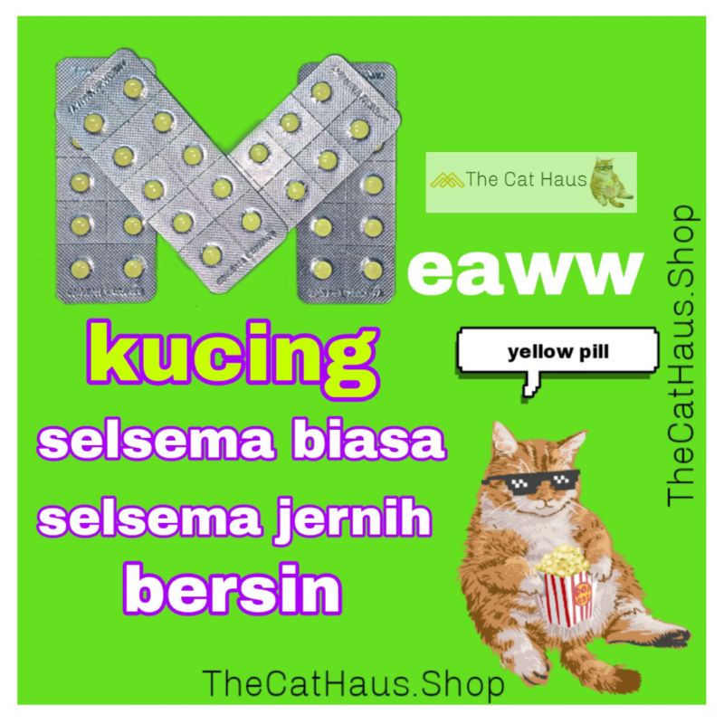 Ready Stock 10biji Ubat Selsema Kucing Ubat Bersin Kucing Shopee Malaysia