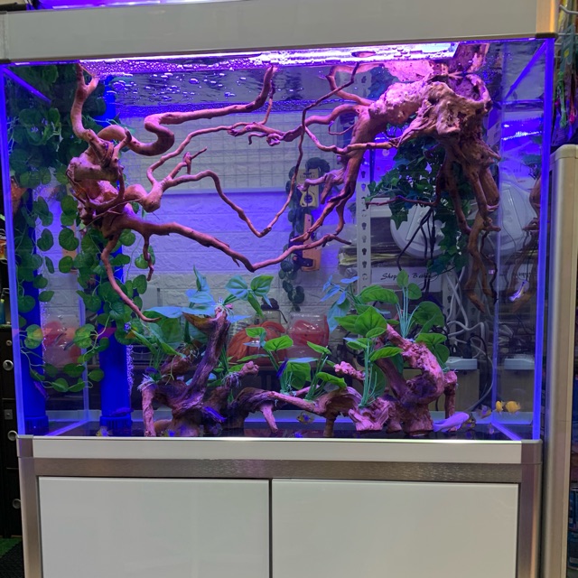 Aquarium 1 meter set Shopee Malaysia