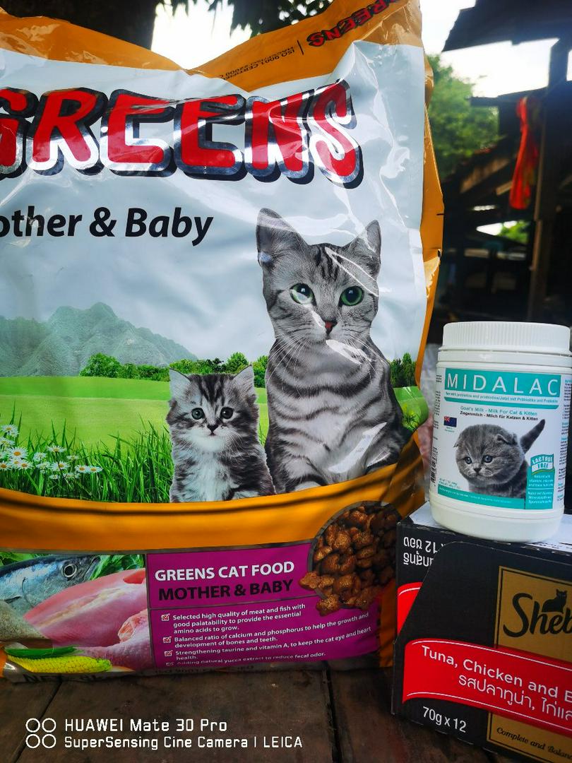 Greens Mother Baby Cat Food Makanan Kucing 8kg Shopee Malaysia