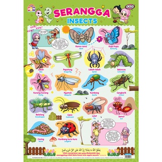 Poster Serangga (Insects) Ana Muslim - Alat Bantuan Mengajar Belajar