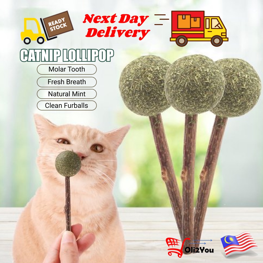 Cat Chew Toy Natural Silvervine Matatabi Molar Sticks Mint Licking Balls Cat nip Funny Interactive Kitten Toys 4 Pack Catnip Toys Cat Toys for Indoor Cats Teeth Cleaning 
