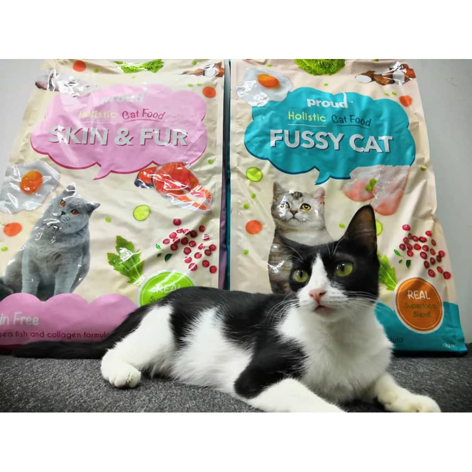 proud holistic cat food
