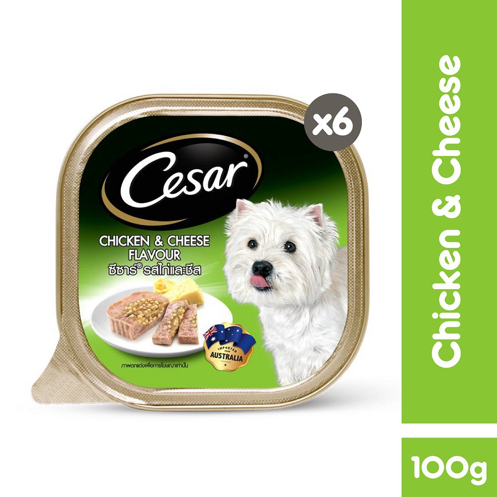 CESAR Dog Food Chicken &amp; Cheese 100gmx 6 Dog Tray Dog Wet Food | Shopee ...