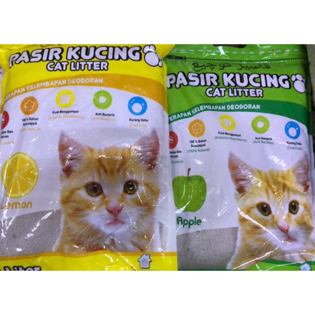 Makanan Dan Minuman Kucing Himalaya