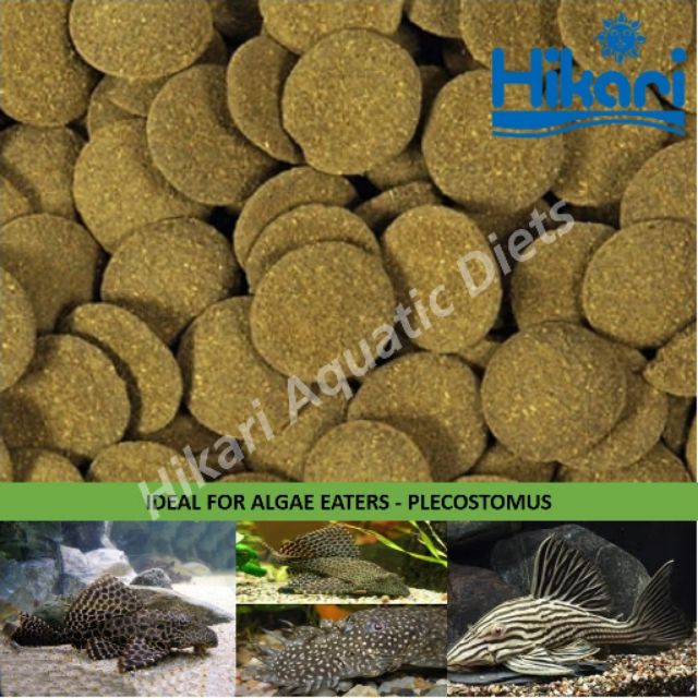 tropical algae wafers