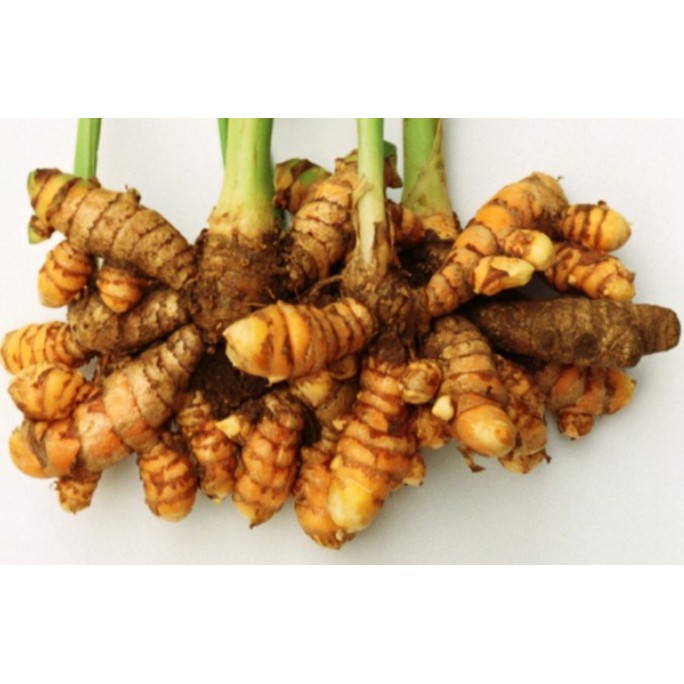 Kunyit Hidup Segar Fresh 400gram Untuk Masakan Shopee Malaysia