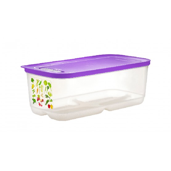 Tupperware Winter Fantasy Baseline Set (2 pcs) Christmas Gift LIMITED  EDITION