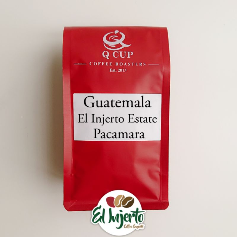 Guatemala Huehuetenango El Injerto Estate Pacamara(200G) / Single ...