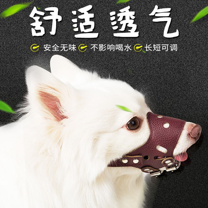 muzzle guard for dogs