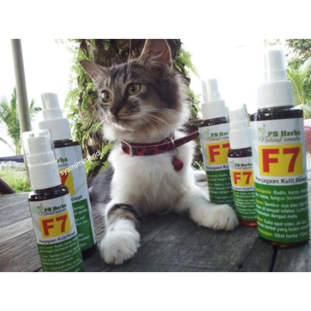 🔥HOT🔥 Ubat kucing penawar HERBA ORGANIK.kurap,kudis, fungus 