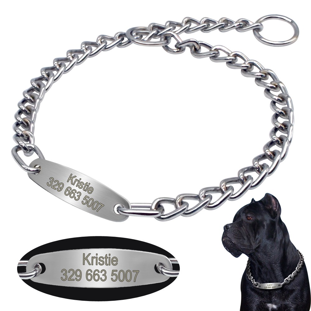 dog chain collar