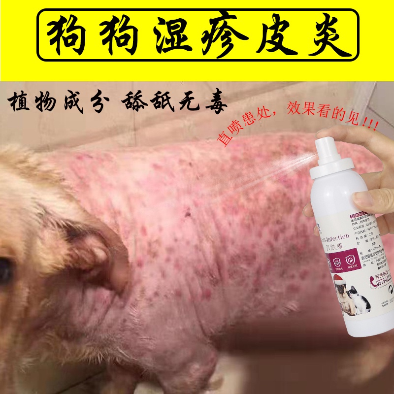Ready Stock】Dog eczema dermatitis skin disease spray fungus itching hair  removal mite pyoderma dandruff dog ringworm | Shopee Malaysia