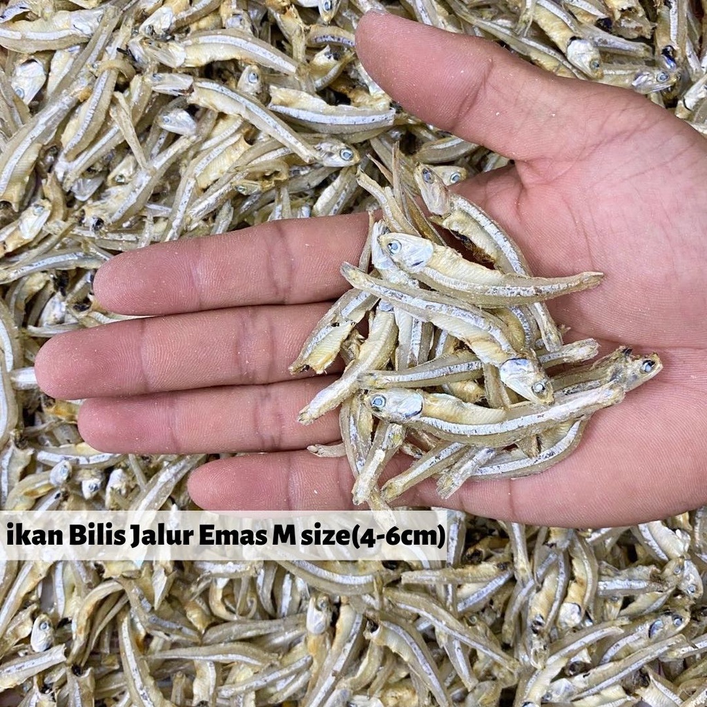 Buy Borong Ikan Bilis Jalur Emas M Size Grade Aaa Gold Line Premium Grade 500g Pulau Pangkor Seetracker Malaysia