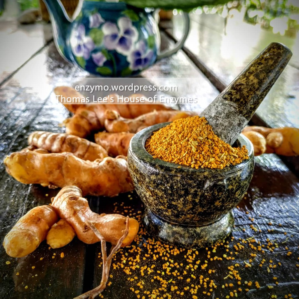 100 Pure Organic Turmeric Powder 手工制作有机黄姜粉 Huangjiang Curcuma Longa 姜黄素抗炎 抗氧化 调脂 抗病毒 抗感染 抗肿瘤 抗凝 抗肝纤维化 抗动脉粥样硬化