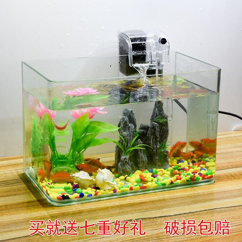 High Translucent Curved Rectangular Glass Gold Fish Tank Turtle