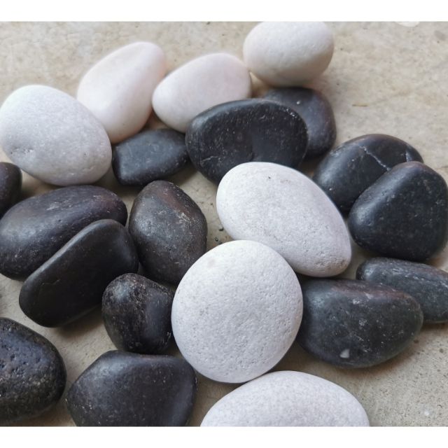 Batu Sungai Hitam Putih River Stone Black White Polish Decoration Deco Lanskap Kubur Hiasan Taman Garden Rock Akuarium Shopee Malaysia