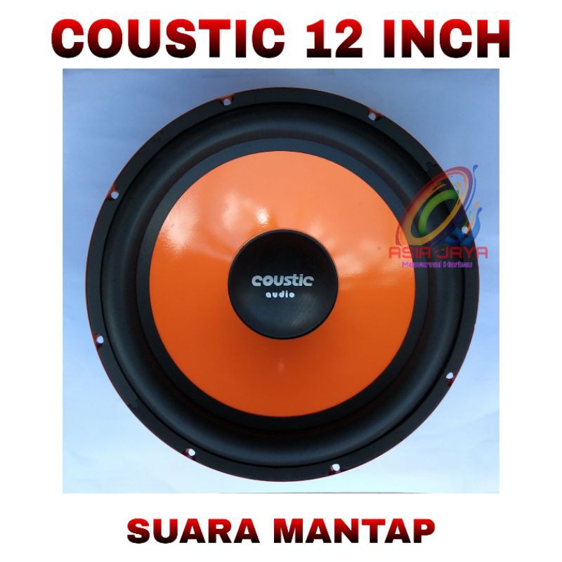 coustic 12 inch subwoofer