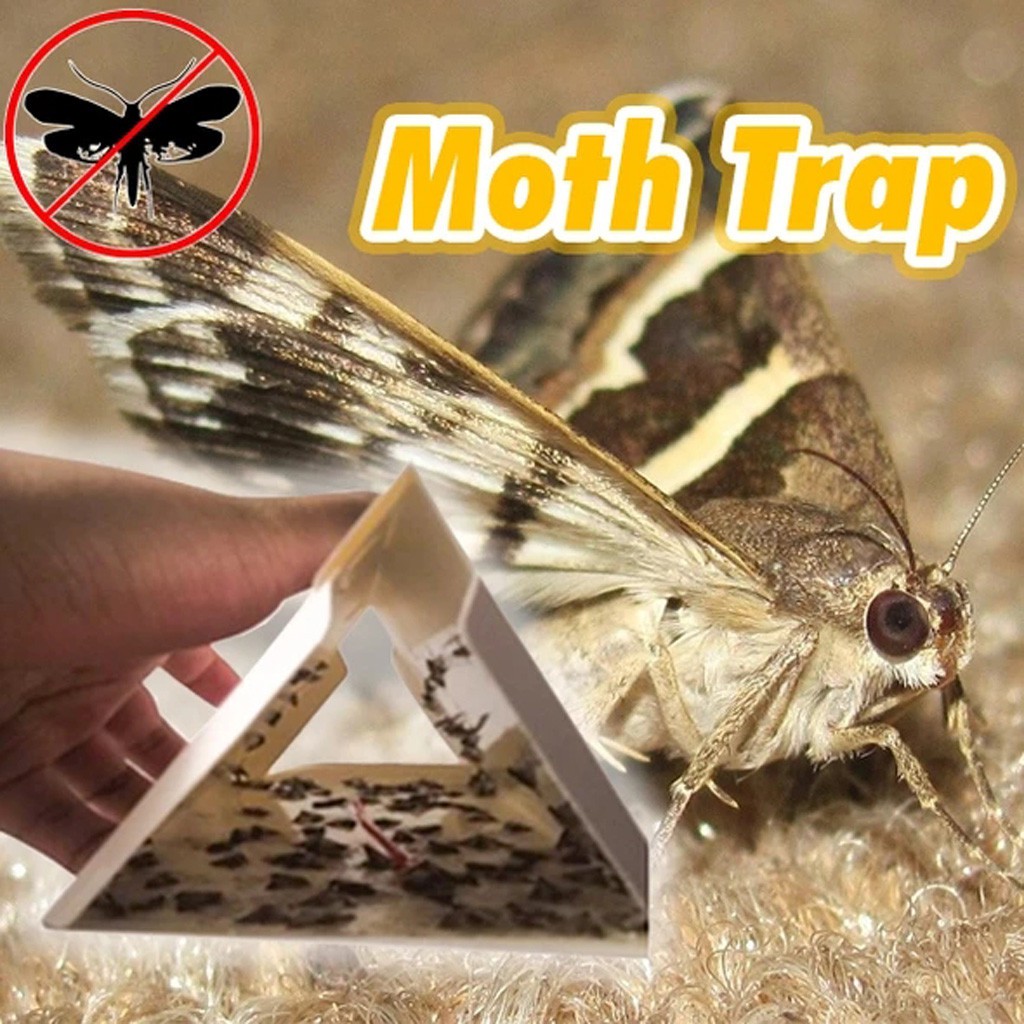 Moth Trap Eliminates Moth Stick Suitable For Indian Meal Moth Mite 5 ...